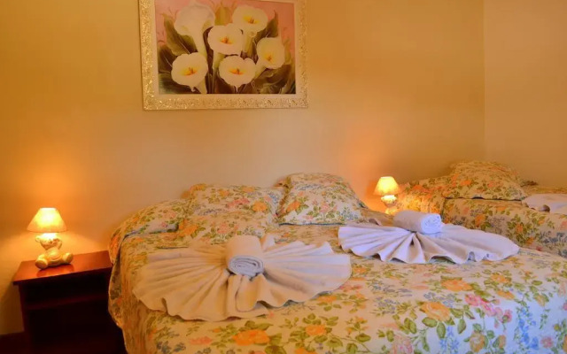 Hotel Refugio Alpino