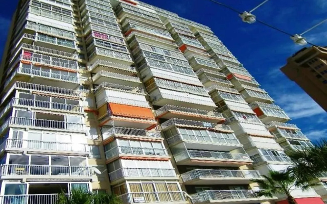 Veracruz Alquilevante