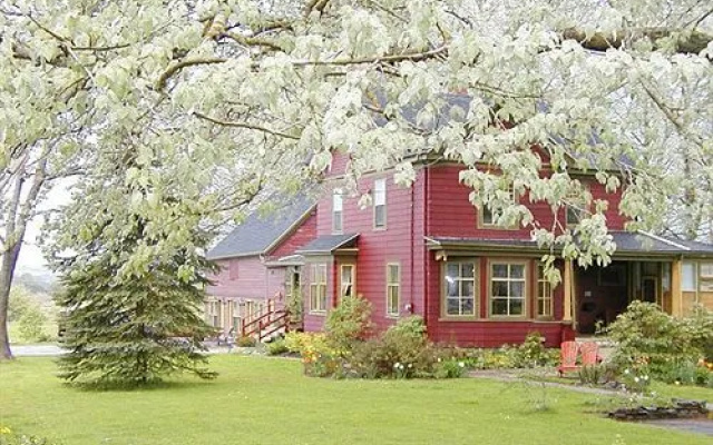 Dragonfly Inn