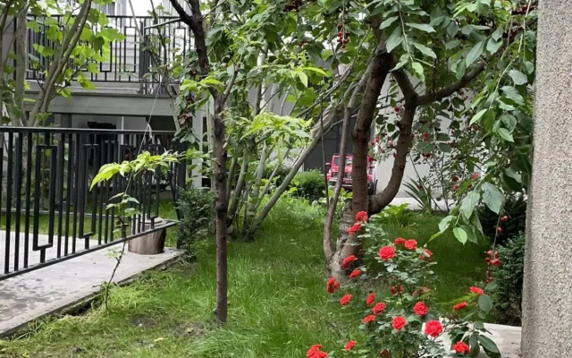 SM Apartment 1