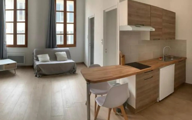 Studio 500M From The Palais Des Papes
