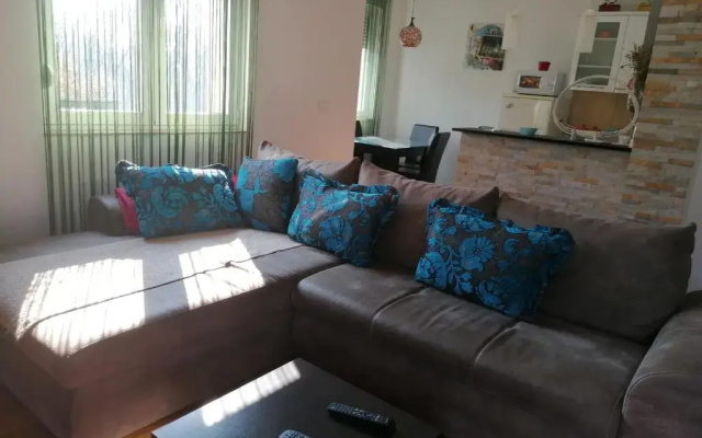 Shumice Apartment