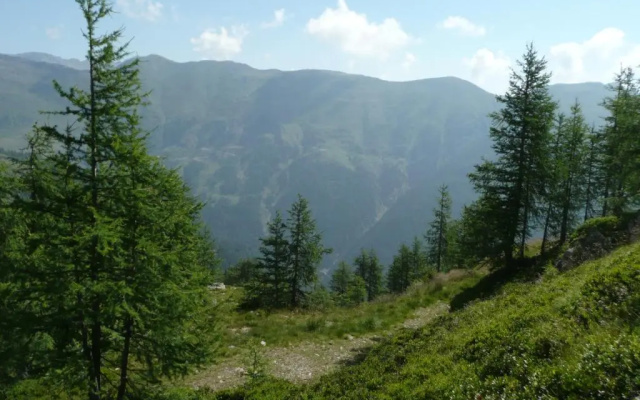 Almgasthof Fichtenheim