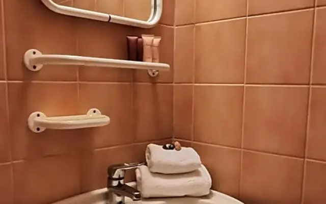 Bizoní dvůr