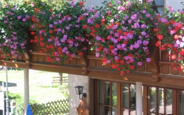 Hotel Gasthaus Zum Hirschen