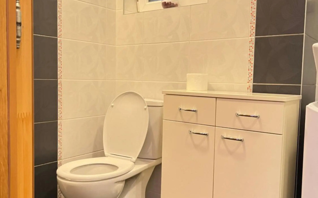 Apartment Vračar