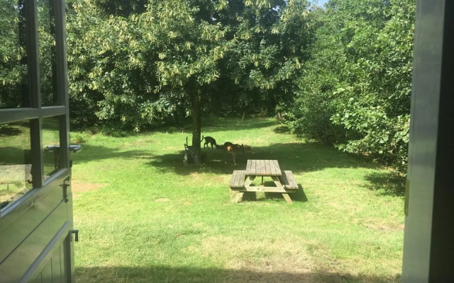 Vakantiehuis de Rommelpot