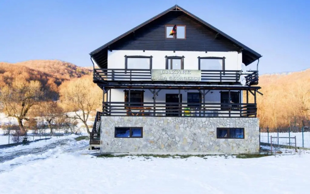 Casa Georgescu