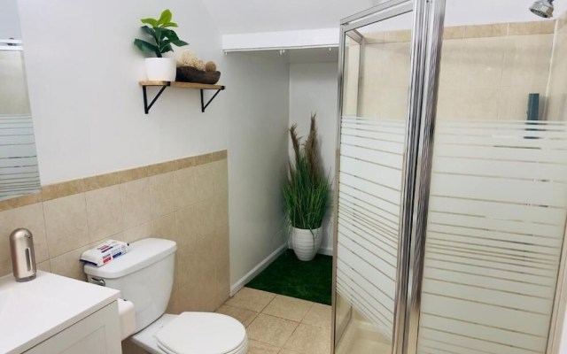 Modern Quiet Suite