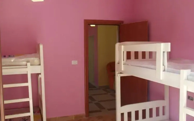 Dolphin Hostel