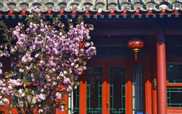 Bejing Heyuanzhixin courtyard（Wang Fujing，Tian'anmen）