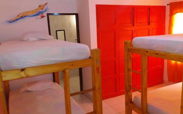 Taganga Paradise Hostal & Diving - Hostel