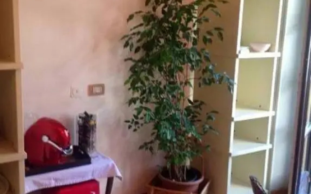 Il Glicine in Città