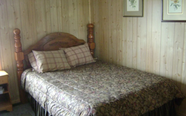 Wild Skies Cabin Rentals in Craig