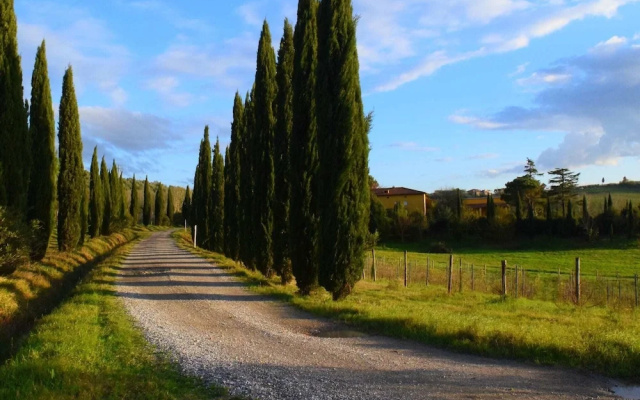 Spacious Farmhouse in Vinci Italy with Pool