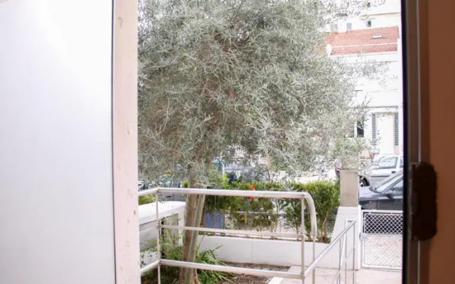 The Olive Tree House