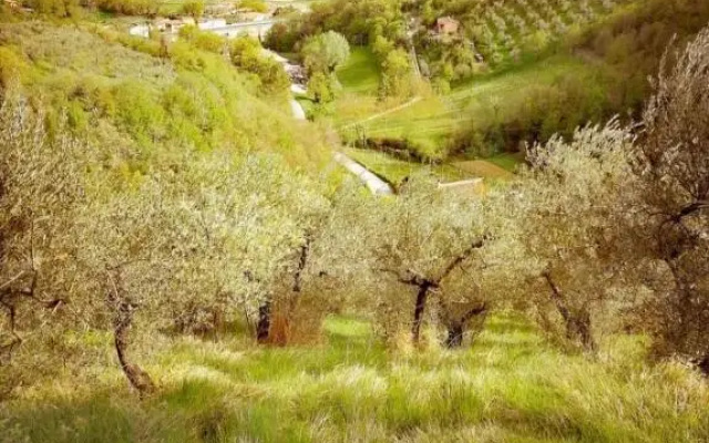 Umbria In Bike B&B