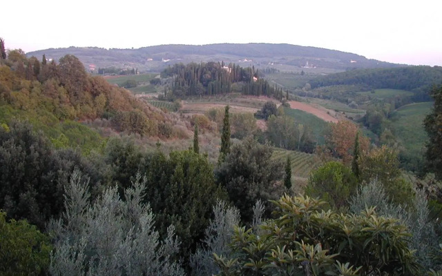 Poggio Borgoni