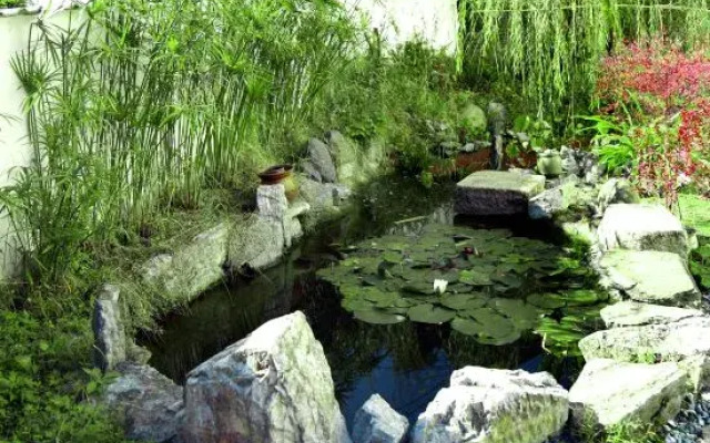 Xinyu Homestay