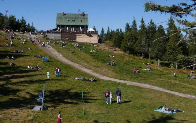 Apartament Marron