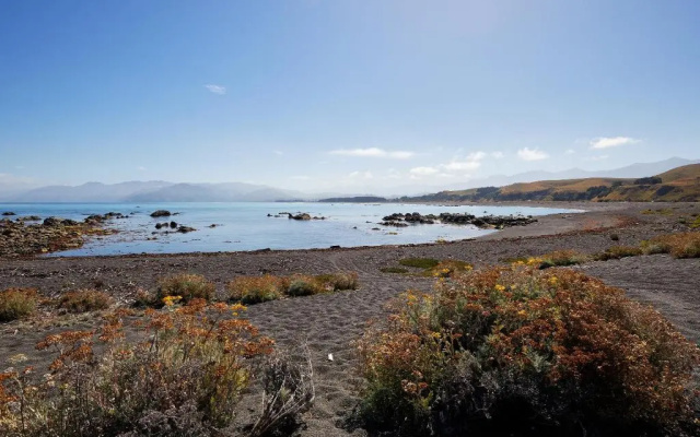 The Kaikoura Bach