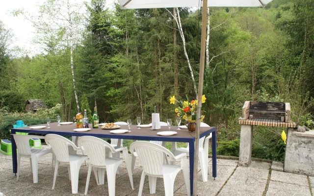 Chalet in La Bresse Near Ski Slopes