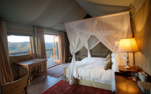 Camp Figtree