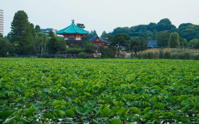 Tora Hotel Taito - Vacation STAY 53053v