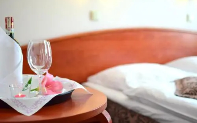 Hotel Panorama Nowy Sącz