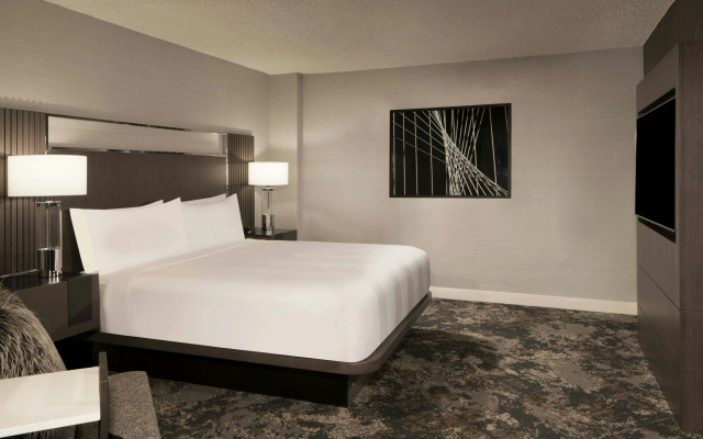 Dallas/Fort Worth Airport Marriott