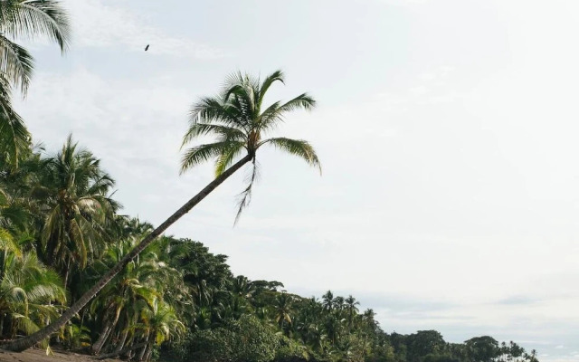 Morro Terco Hotel