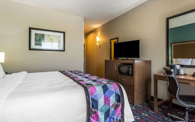 Comfort Inn & Suites - Newcastle
