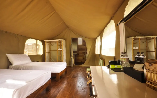 Wild Glamping Knuckles