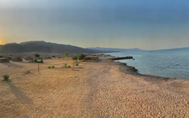 Lala Land Camp Sinai