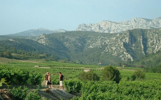 Domaine Vents Du Sud