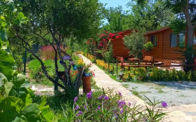 Defne Wood Home