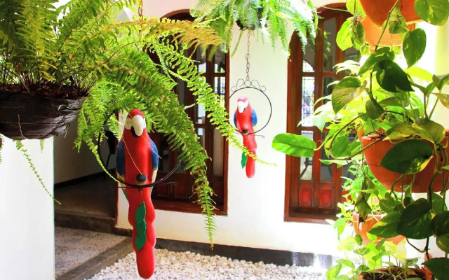 La Guaca Hostel