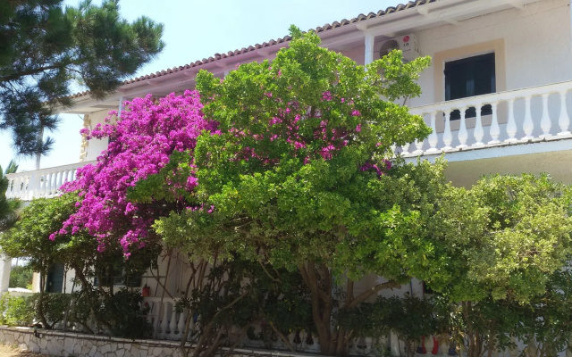 Elli Beach Apartments and Studios