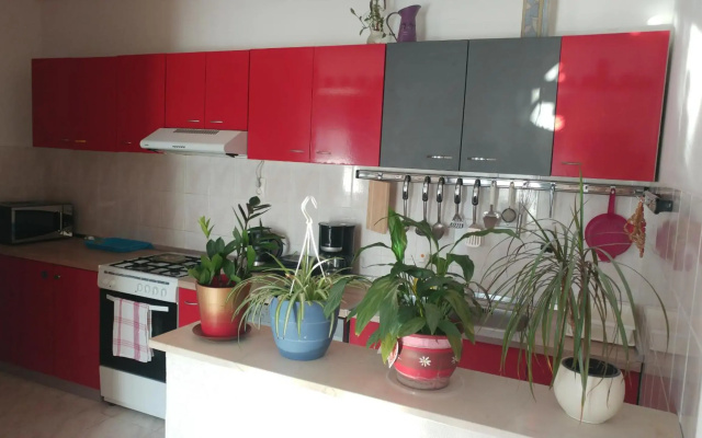 Apartment Tina