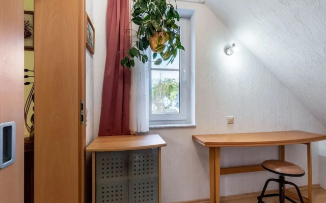 Apartment on the Edge of the Forest