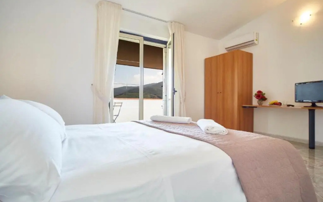 B&B Radici