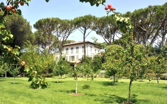 Beach Front Limonaia