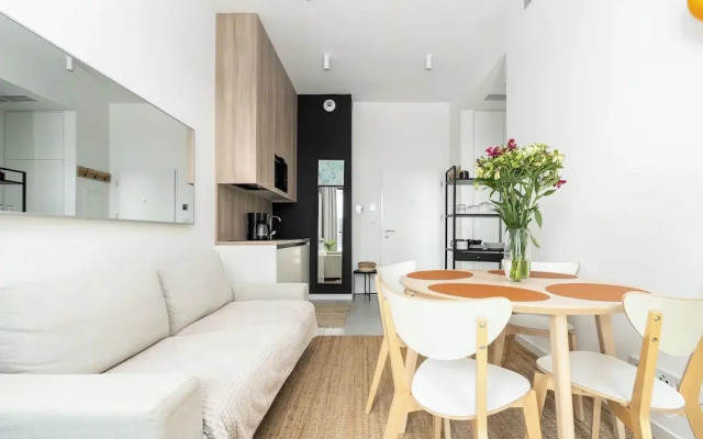 Shellter City Apartments