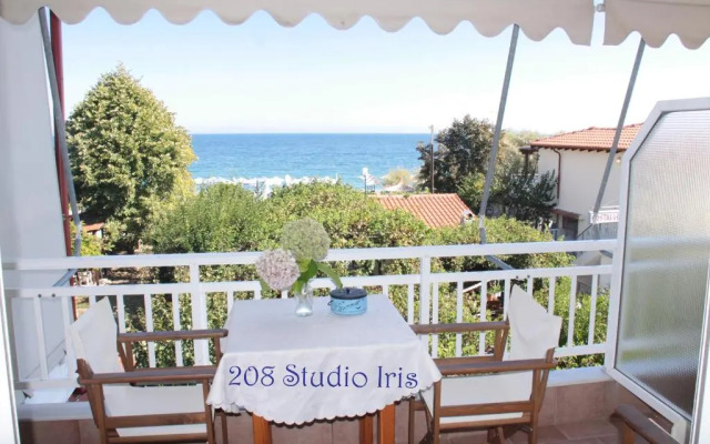 Fasoli Studios