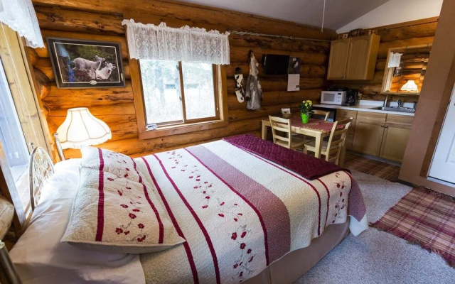 Hatcher Pass Cabins