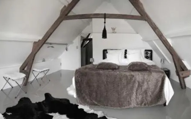 Paradise suite