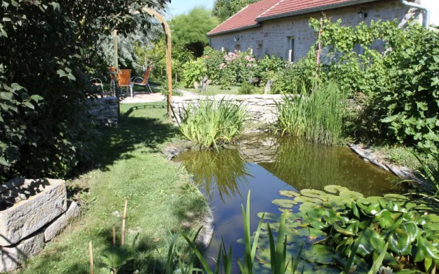 Les Agnates
