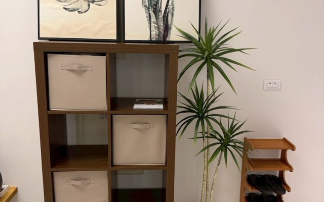 Luxury Apartment