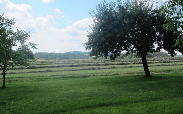 Detached Holiday Home in an Idyllic Quiet Location
