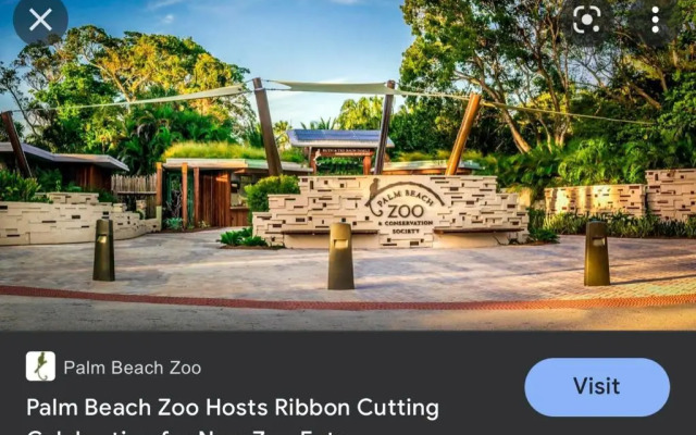 The Ocean Palms Suite